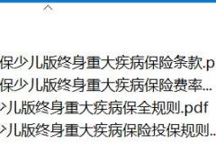阳光人寿阳光保少儿版终身重大疾病保险条款费率规则.rar