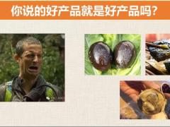 顾问营销需求分析落地法商保单培训课程109页.pptx