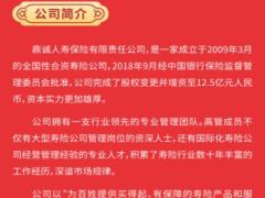 鼎诚人寿华鼎1号自动计划书.xlsx