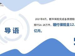 新华保险2021年8月十大赔案13页.ppt