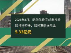 新华保险2021年8月十大重疾险赔案13页.ppt