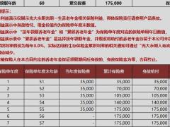 光大永明光明一生养老年金保险计划书.xlsx