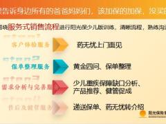 阳光保少儿版销售逻辑客户体验服务保单整理需求分析完善售后健管服务20页.pptx