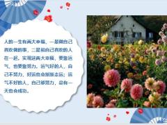每日鸡汤请静下心来努力别辜负了曾经所受的苦难.zip