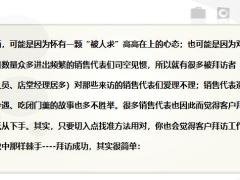 有效拜访客户七大黄金定律20页.pptx