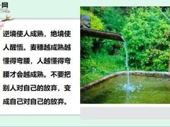 每日鸡汤人生是一杯茶不会苦一辈子但总会苦一阵子.zip
