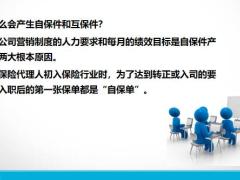 北京正式严管自保件保险销售人员灰名单制度建立你会被淘汰吗24页.pptx