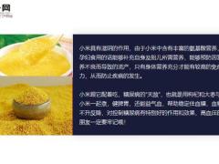 每日健康小米跟它配着吃糖尿病的天敌不用吃药血糖乖乖往下降5页.ppt