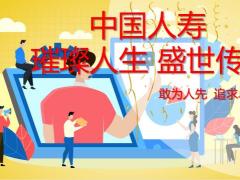 国寿璀璨人生盛世传家平台流程26页.pptx