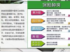 家庭支柱保险怎么买最实用的家庭保险配置27页.pptx