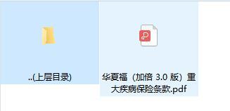 华夏福加倍3.0版重大疾病保险条款.rar