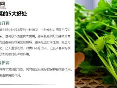 每日健康香菜叶子煮水喝全身都是宝后悔知道的太晚了9页.ppt