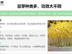 每日健康菜中人参很多人以为这菜没营养殊不知它养气补血11页.ppt