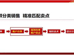 太平洋精准客户分类玩转好事成双14页.pptx