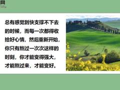 每日鸡汤只有参与实干拼搏的人才会有收获.zip