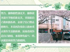 每日鸡汤只有靠自己才能当上女王.zip