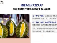每日健康榴莲等于三只鸡三类人要少吃壳和核都别扔15页.ppt