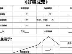 太平洋好事成双简易计划书.xlsx