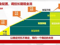 从教育金养老金健康保障角度看年金32页.pptx