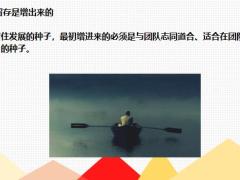 面对23.5万人的离开团队长该如何找到对的人留住优的人28页.pptx