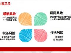 法商概述四大财富风险一个解决方法43页.pptx