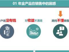 年金险销售困惑认识角色内涵价值团队训练推动销售逻辑方法案例46页.pptx