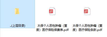 太保个人恶性肿瘤重度医疗保险条款费率.rar