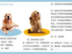 寻找准增员对象电话约访草帽图T型图意愿启动25页.pptx