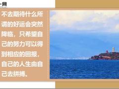 每日鸡汤付出了不一定有回报但不付出永远没有回报.zip