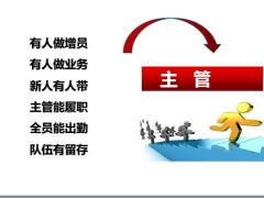 保险公司人力发展双高体系整体设计37页.pptx