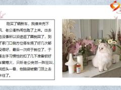 每日快乐早会21年10月20日使用12页.pptx
