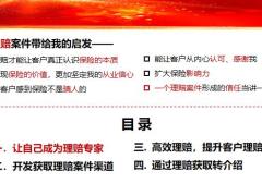 理赔专家案件渠道提升客户理赔体验开发获取理赔案件渠道获取转介绍17页.pptx