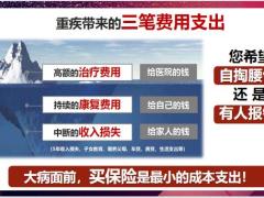 泰康重疾九宫格小交会9页.pptx