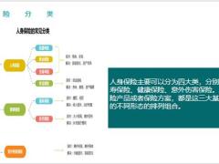 人身保险分类作用大全保险前言分类作用22页.pptx