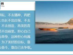 每日鸡汤不要羡慕那些总能撞大运的人你必须很努力才能遇上好运气.zip