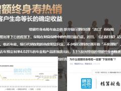 增额终身寿市场背景功能特点适应人群27页.pptx