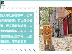 每日鸡汤凡事要靠自己改变命运更要靠自己.zip
