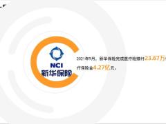 新华保险2021年9月十大医疗险赔案13页.ppt