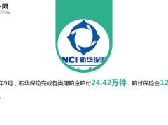 新华保险2021年9月十大赔案13页.ppt