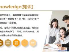 保险新人培训知识态度技能习惯17页.pptx
