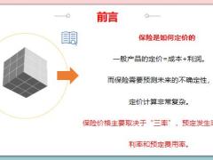 保险价格的误区解析18页.pptx