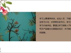 主管如何帮助保险新人快速成功展业20页.pptx