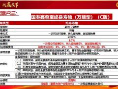 国寿鑫裕金生两全保险核保规则优惠政策模式18页.pptx