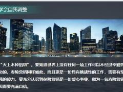 保险如何做好陌生拜访18页.pptx
