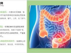 每日健康便秘最怕1种食物堪称排便王快速通便又瘦身7页.ppt