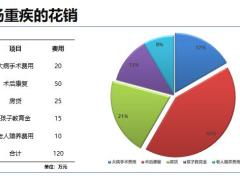 北大方正人寿尊享守护终身重疾理念产品形态投保规则案例演示26页.pptx