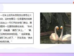 每日快乐早会21年11月5日使用12页.pptx