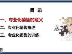 专业化销售的意义概述训练36页.pptx