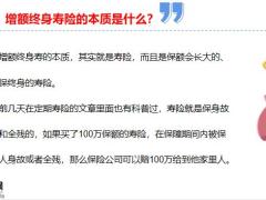 增额终身寿操作指南25页.pptx