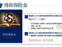太平传世金生终身寿险产品基本形态运营规则案例解析深度探秘40页.pptx